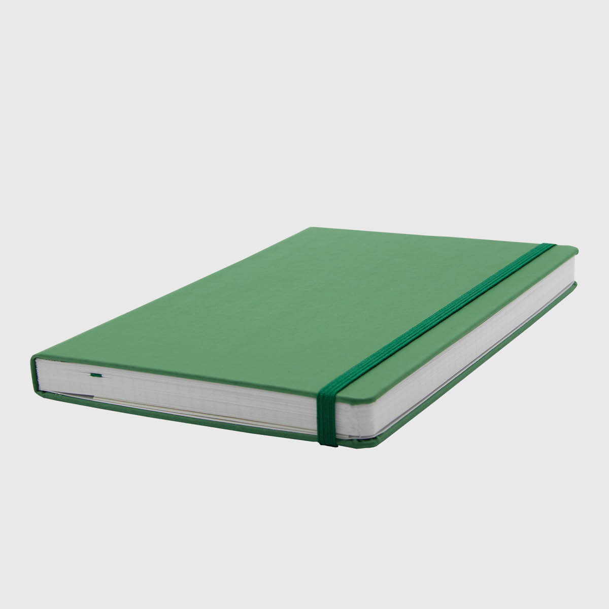 Premium Notizbuch Upcycling A5 grün